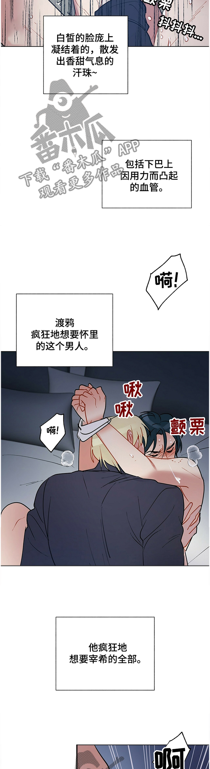 黑督督客户端漫画,第56章：原来如此4图