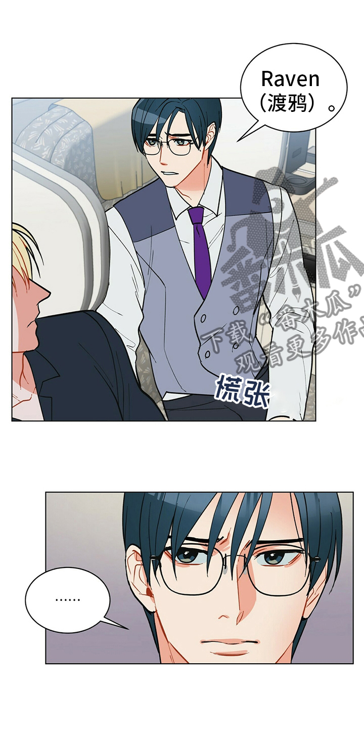 黑渡鸦漫画,第110章：【番外】完蛋了5图