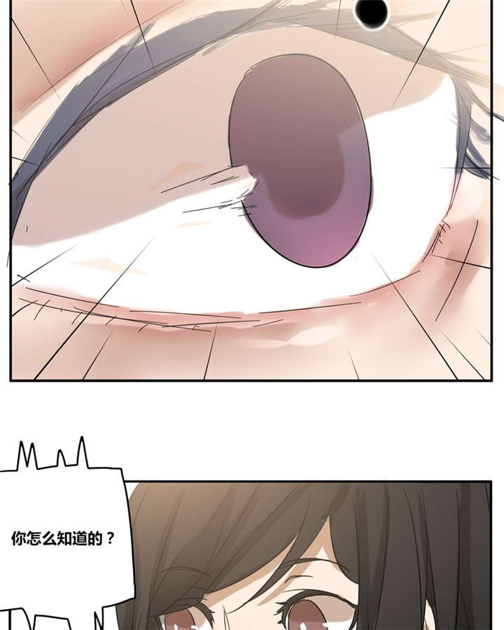 那种很大的虾叫什么漫画,第18章：再见（一）5图