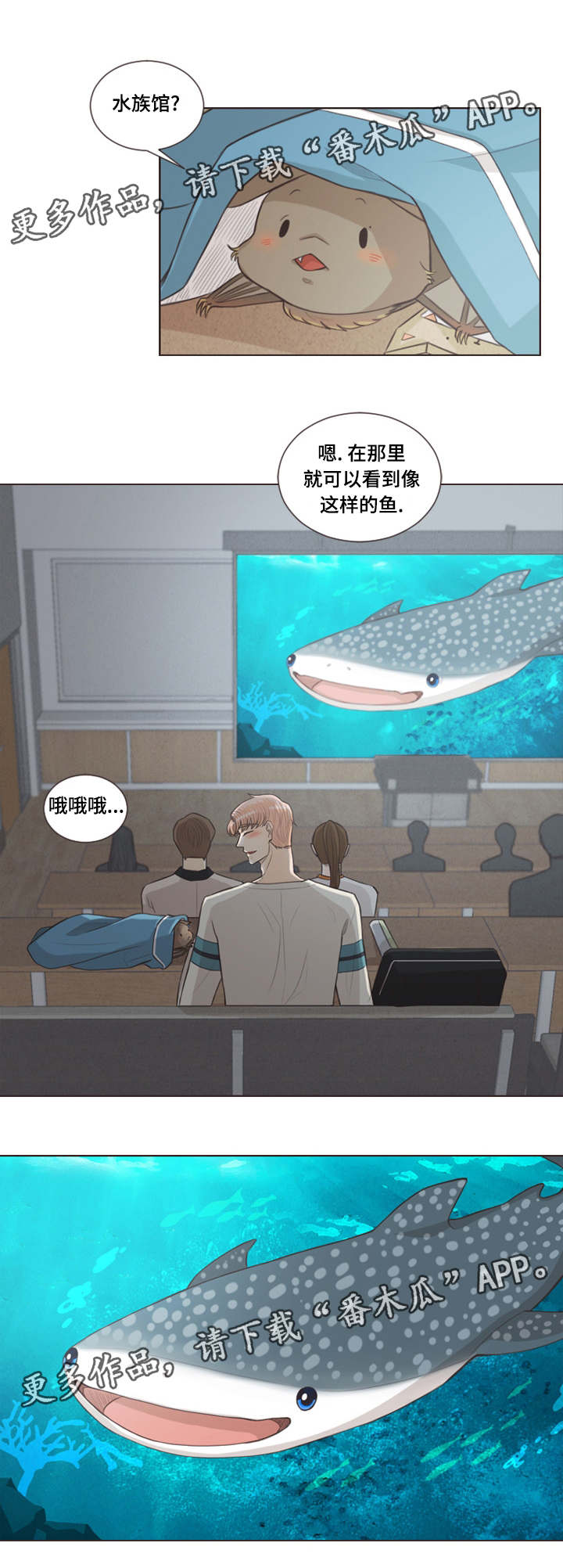 第29章：喜欢的人0