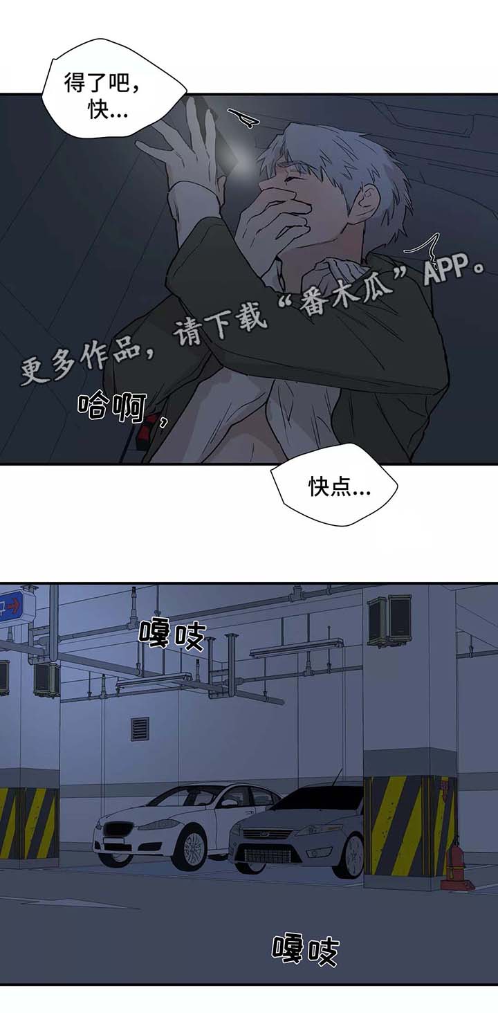 皆是爱漫画,第28章：看雪2图