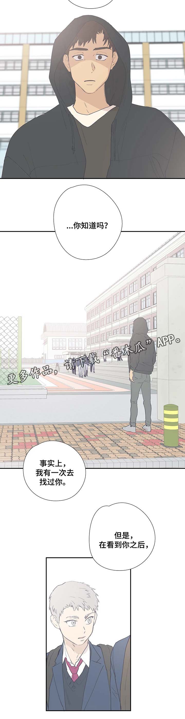 皆是爱漫画,第40章：我要去找他2图