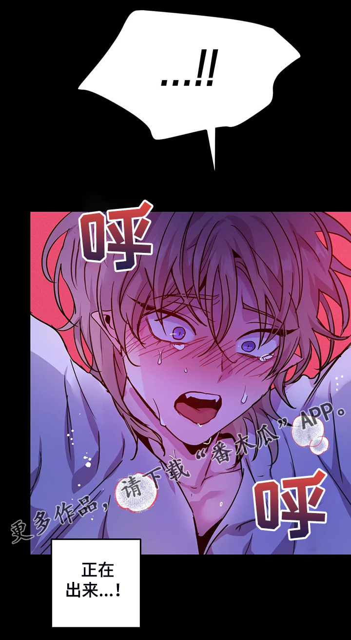 魔王逆谋视频解说漫画,第30章：内加尔大人1图