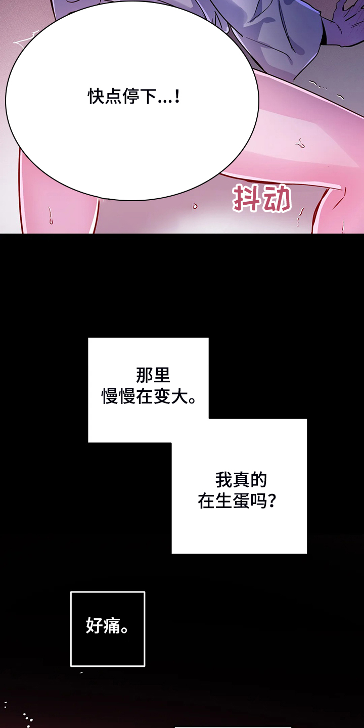 魔王逆谋视频解说漫画,第30章：内加尔大人3图