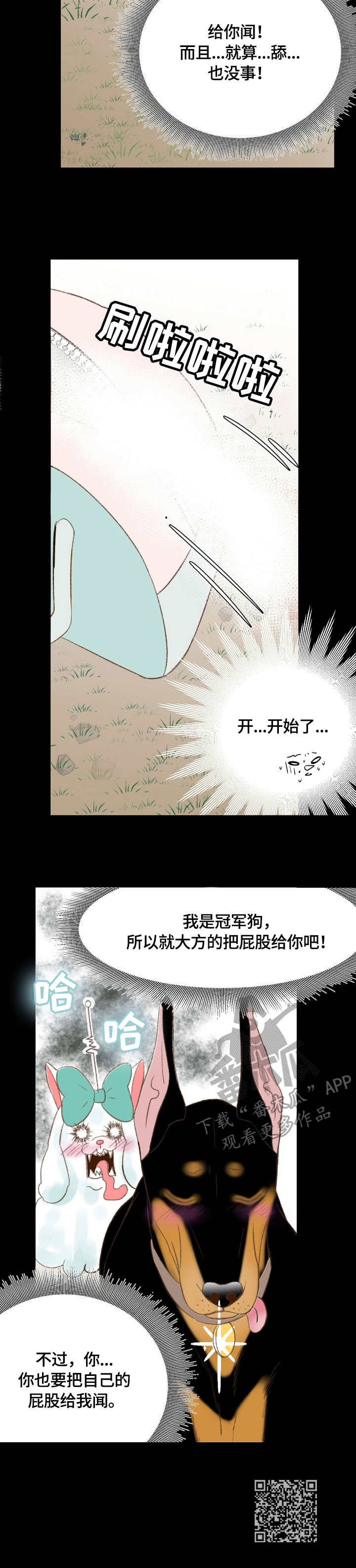 热水壶精灵漫画,第29章：狗美人5图