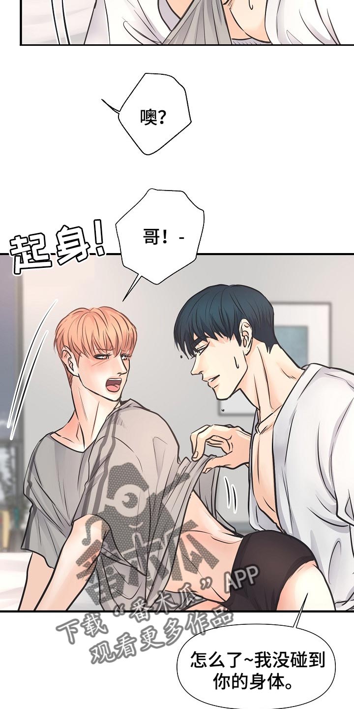 黎巴嫩面积人口漫画,第20章：同居生活5图