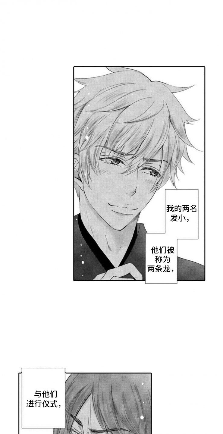 龙王祭品漫画,第1章：两只龙3图
