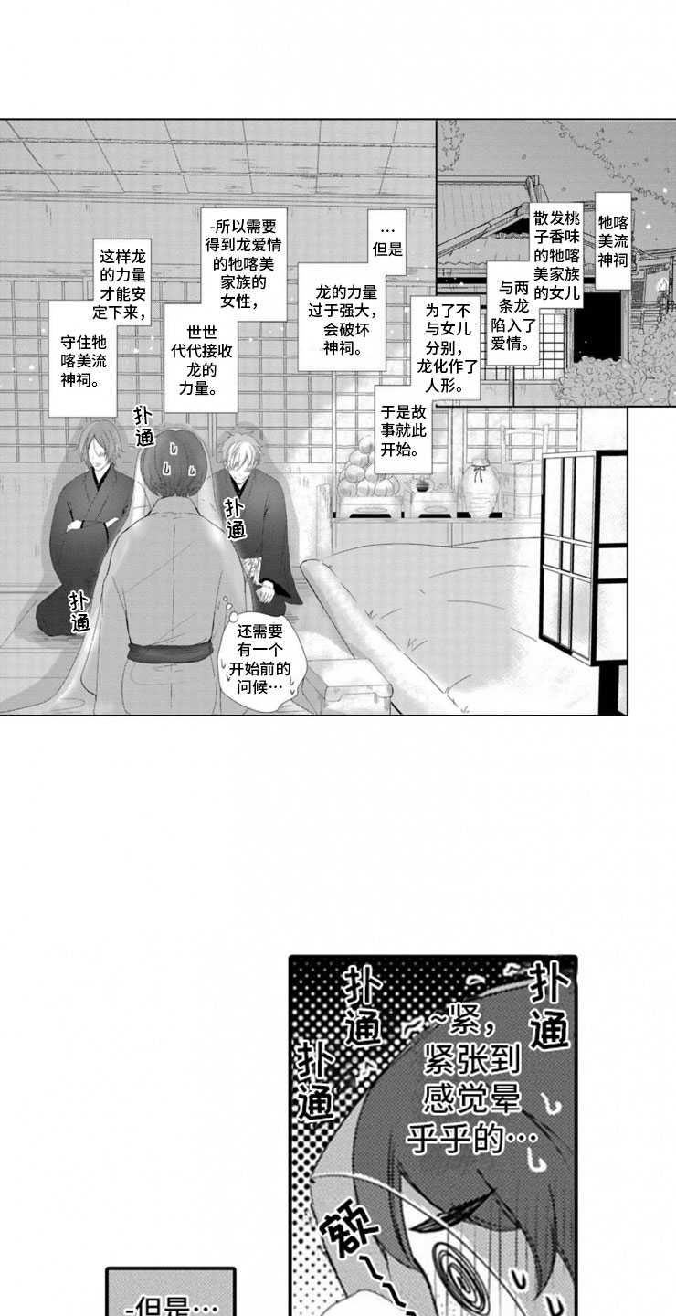 龙王祭品漫画,第1章：两只龙1图