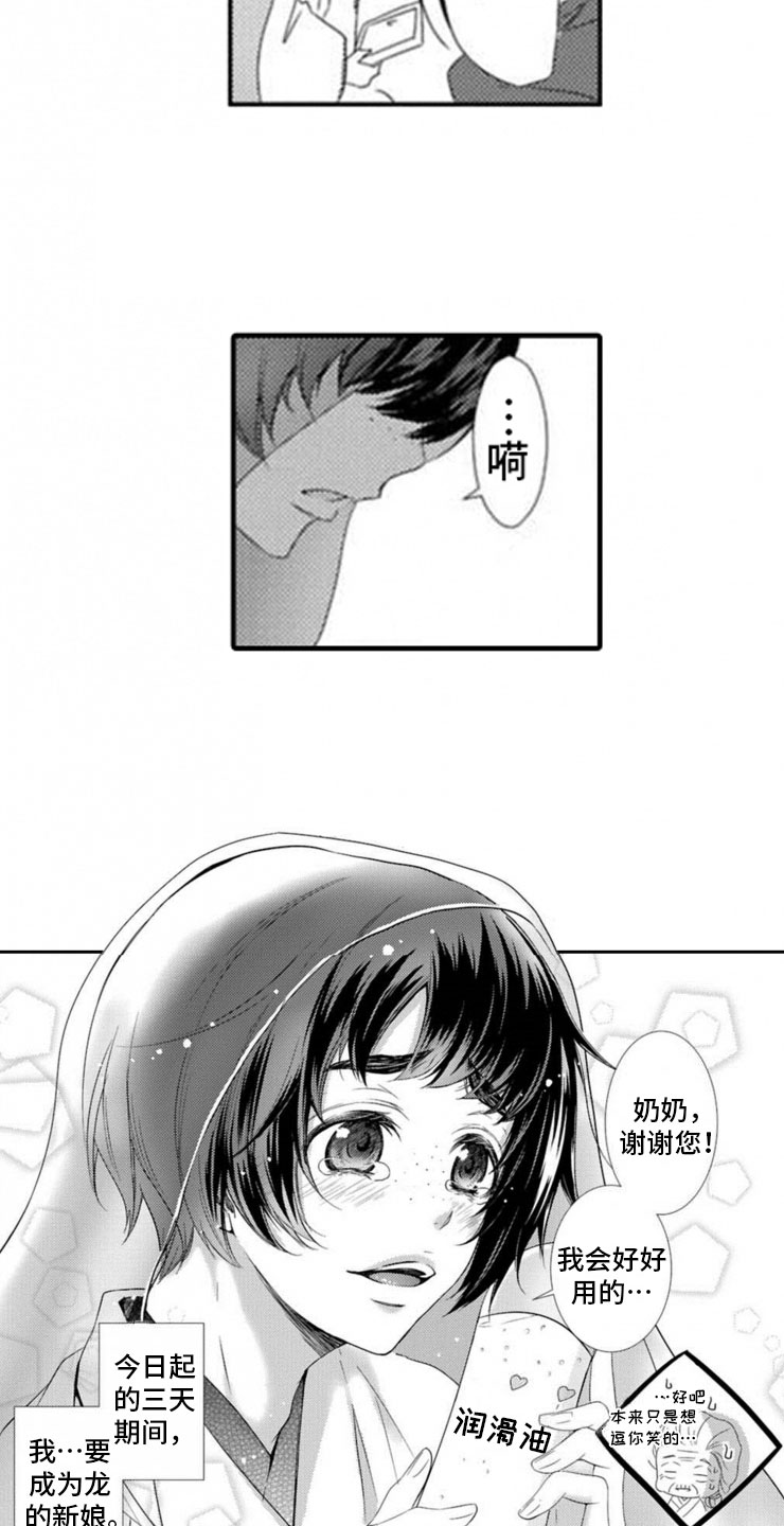 龙王祭品漫画,第1章：两只龙1图