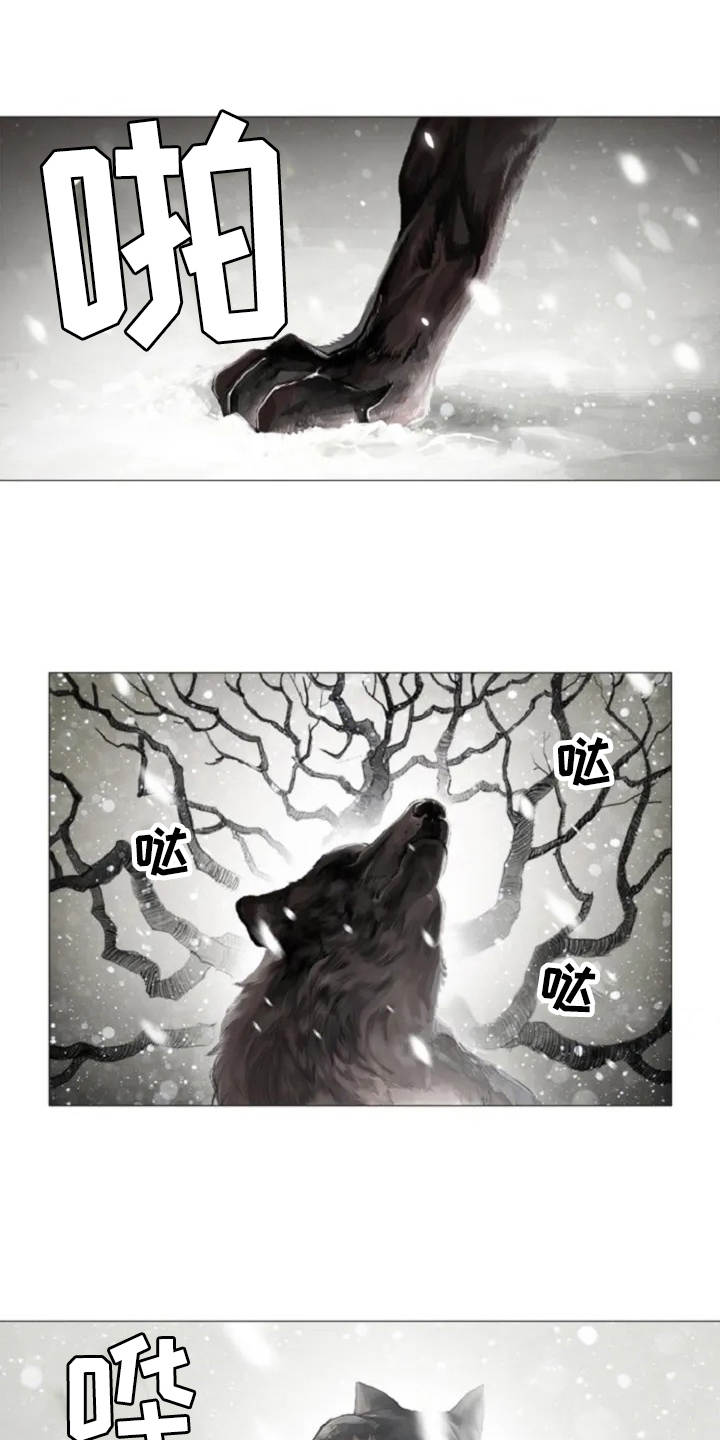 人与妖精的爱情电视剧漫画,第1章：狼少年1图