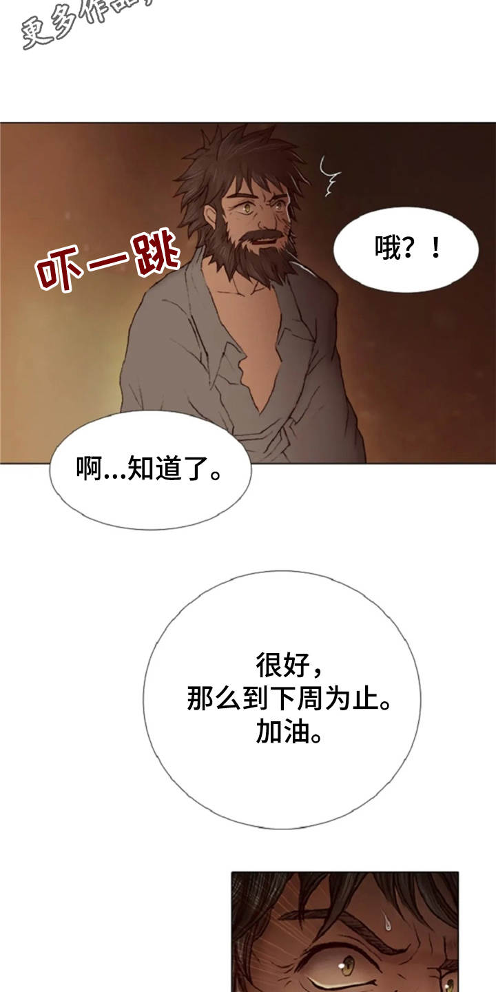 一只善良的妖精鸟漫画,第20章：任务繁重3图