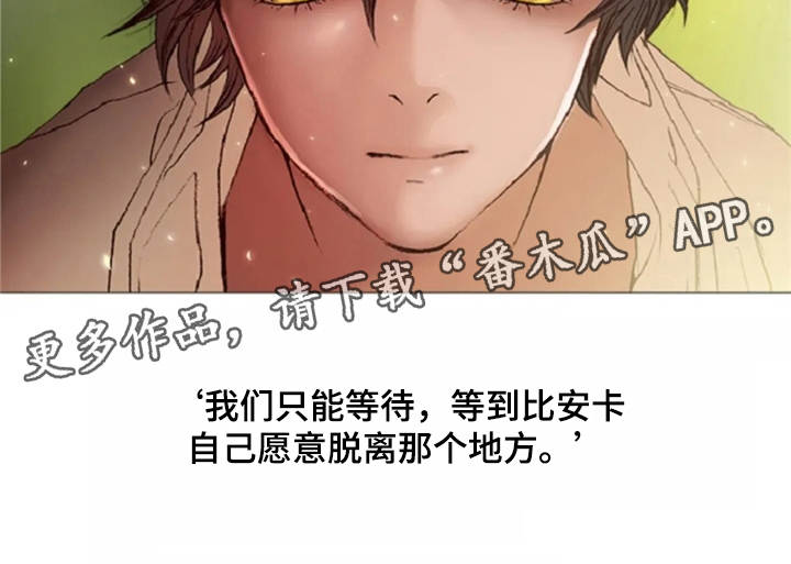 爱情的精灵 下载漫画,第26章：礼物1图