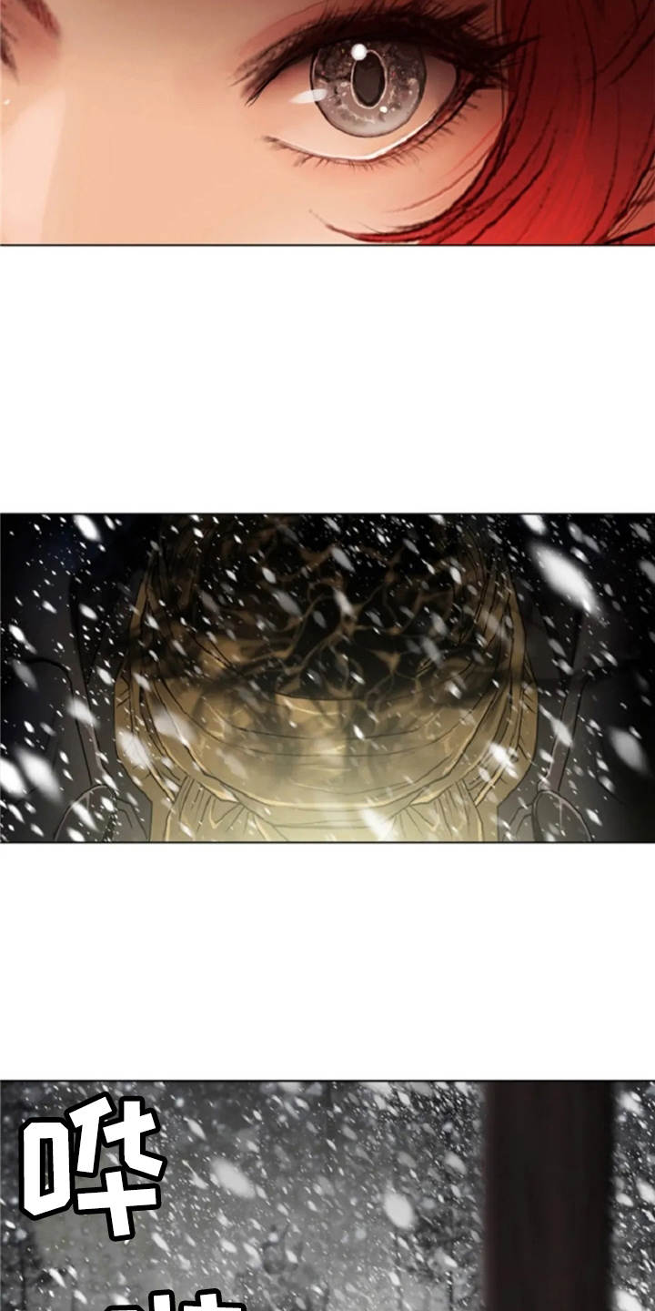 爱情的妖精鸟漫画,第25章：魔女的约定2图