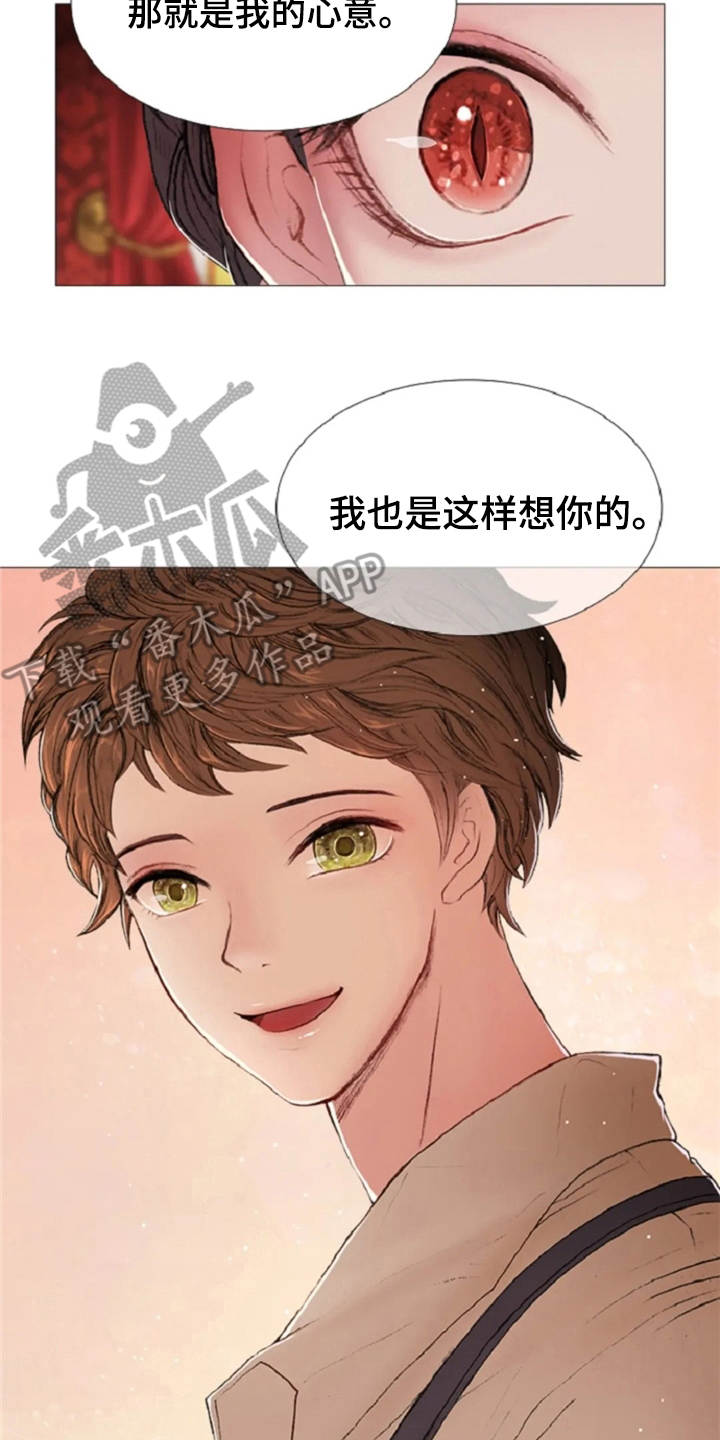 爱情的妖精鸟漫画,第13章：一样的想法1图