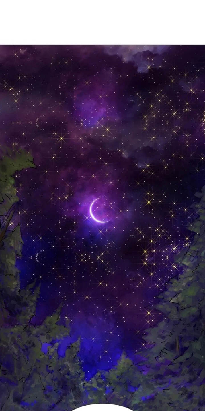 一只善良的妖精鸟漫画,第3章：闪耀的星星4图