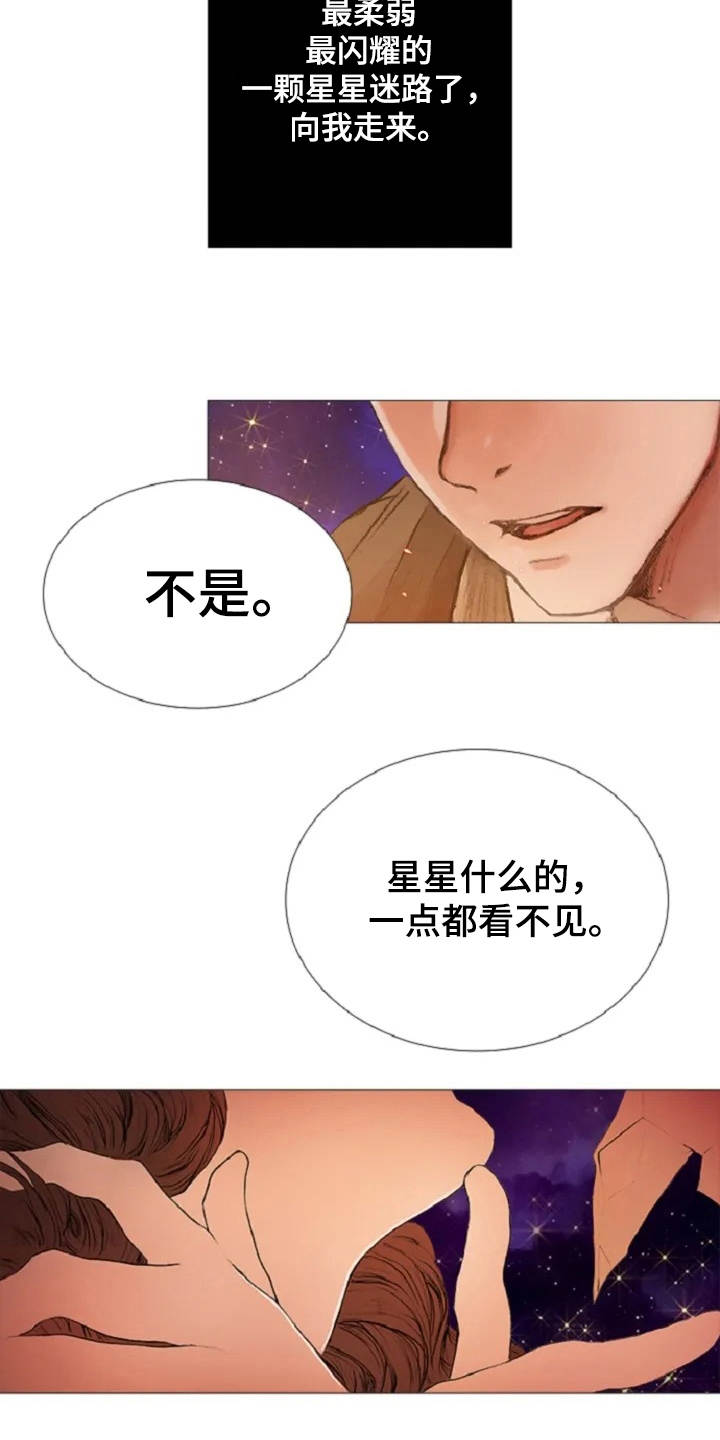 一只善良的妖精鸟漫画,第3章：闪耀的星星2图