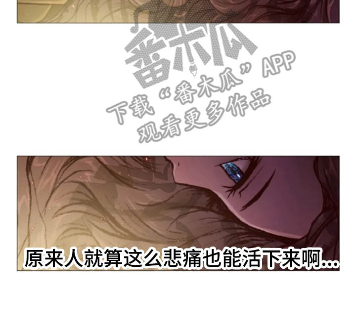 爱情的妖精鸟漫画,第31章：眼泪3图