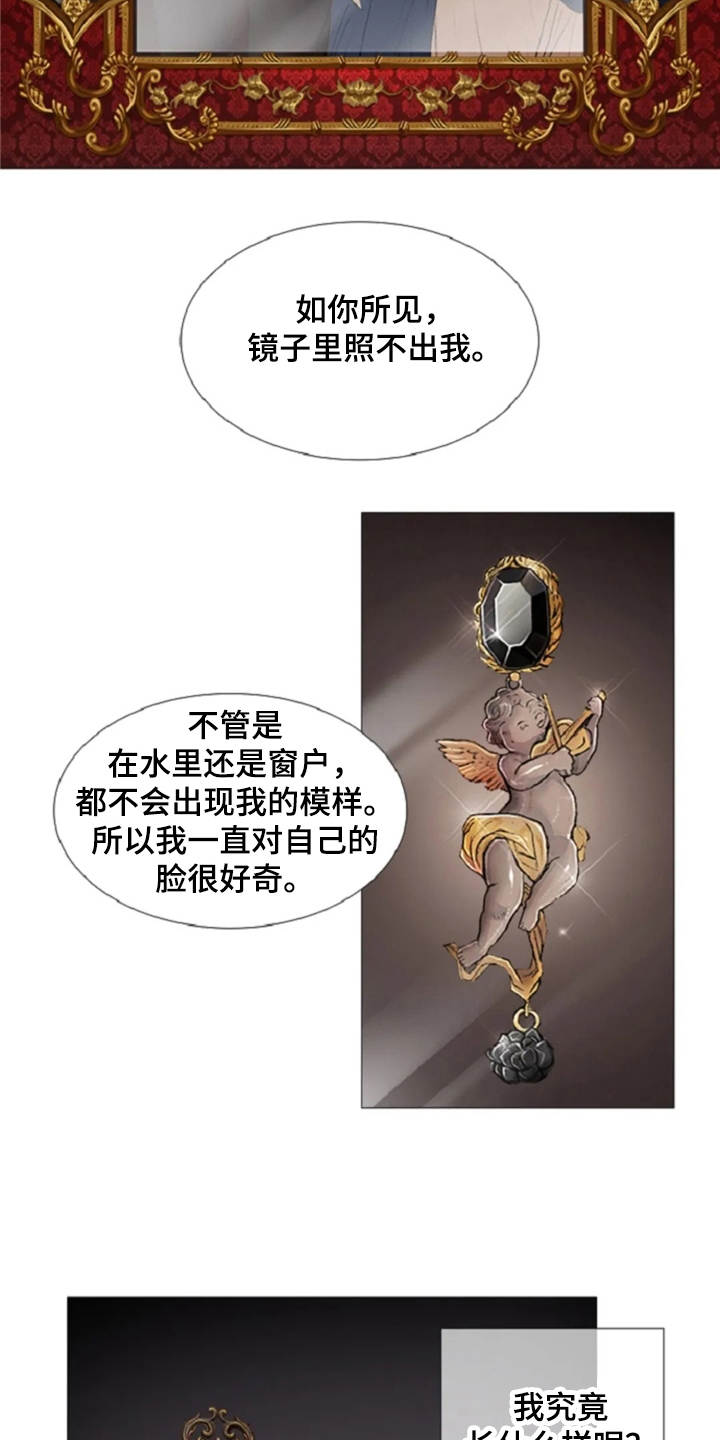 一只善良的妖精鸟漫画,第11章：期待与好奇4图