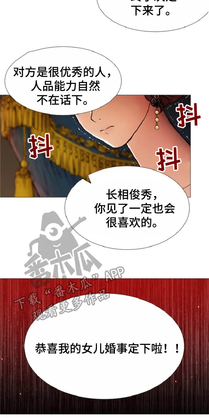 爱情的妖精鸟漫画,第31章：眼泪2图
