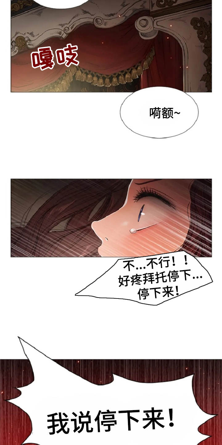 爱情的妖精鸟漫画,第31章：眼泪5图