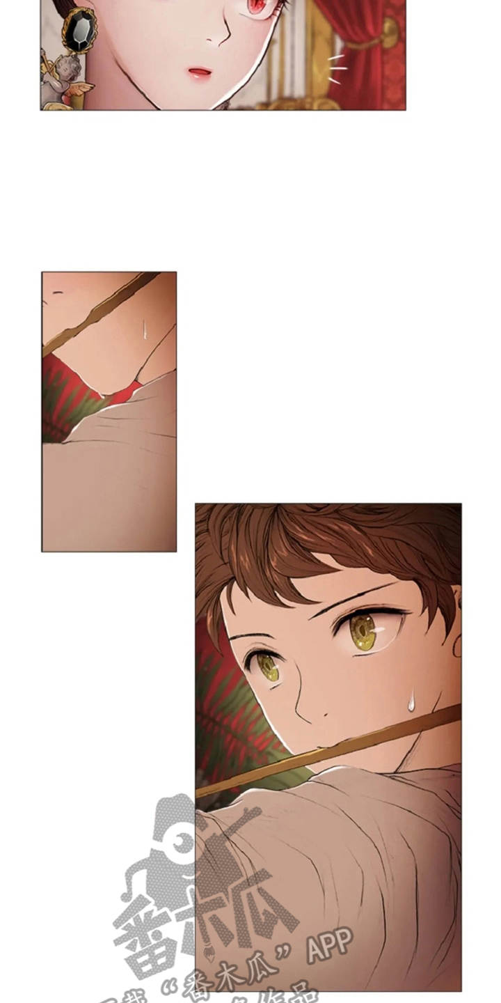 一只善良的妖精鸟漫画,第11章：期待与好奇2图