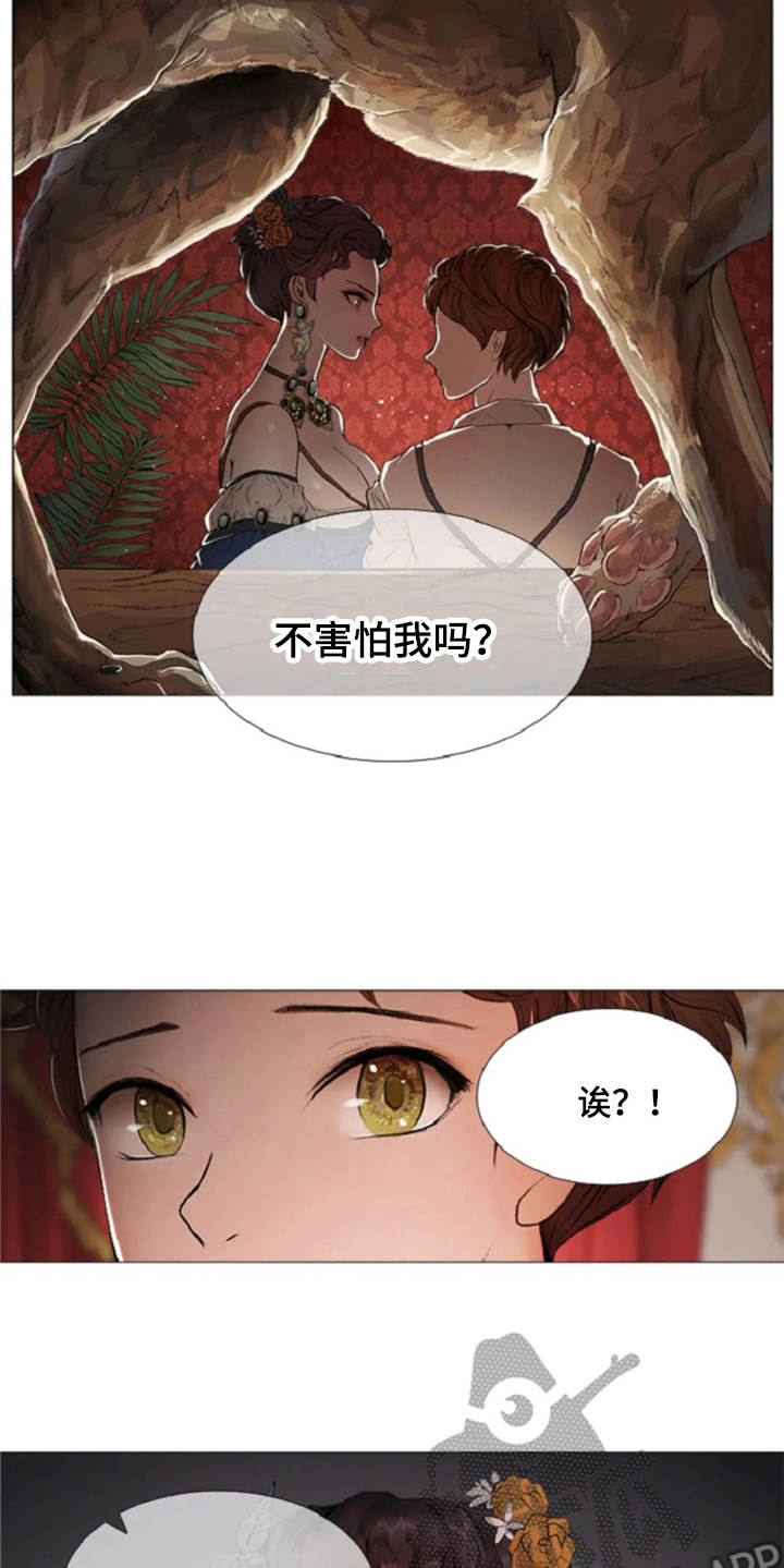 爱情的妖精鸟漫画,第13章：一样的想法5图