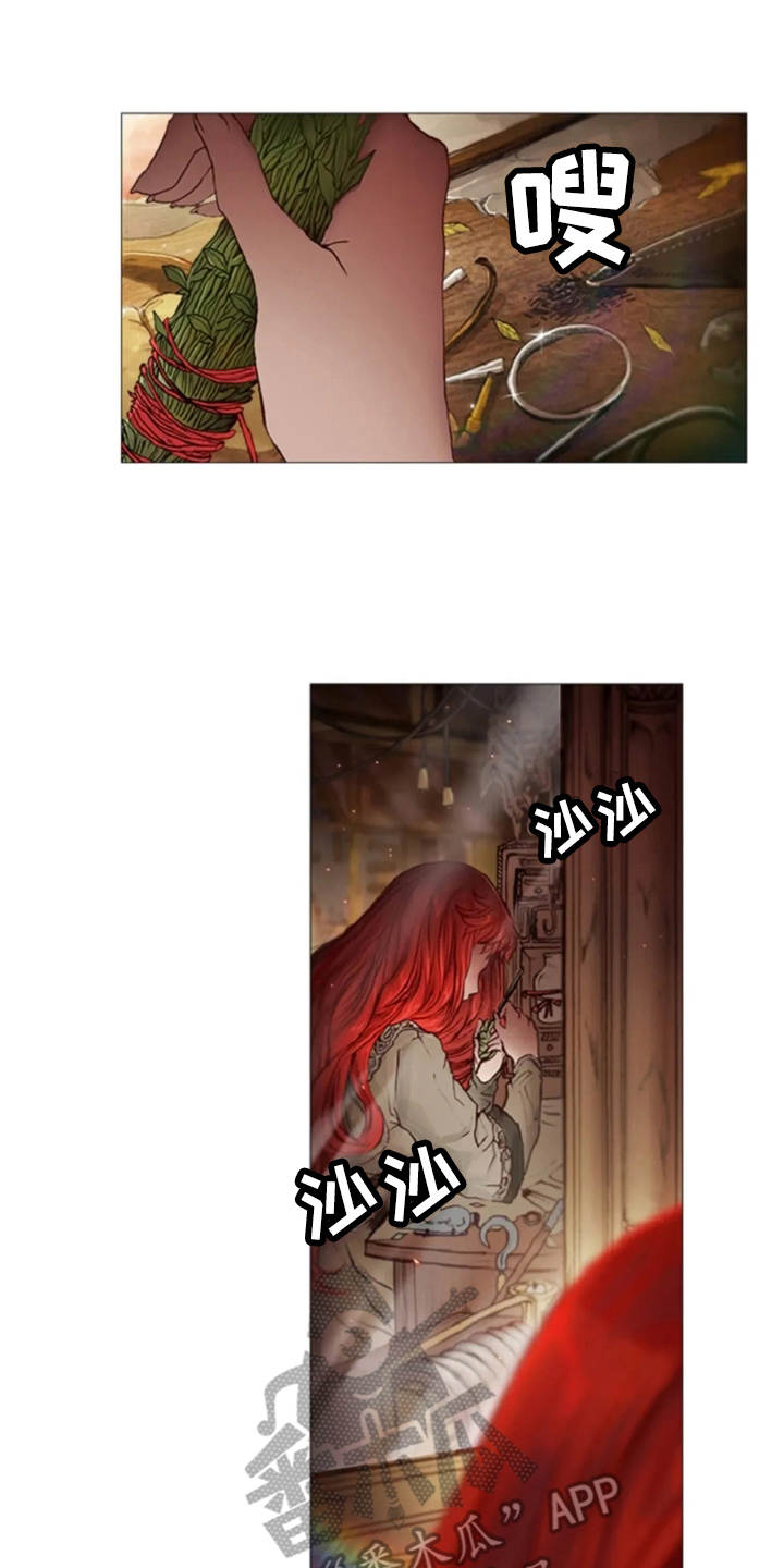 爱情的妖精鸟漫画,第17章：嘲讽1图