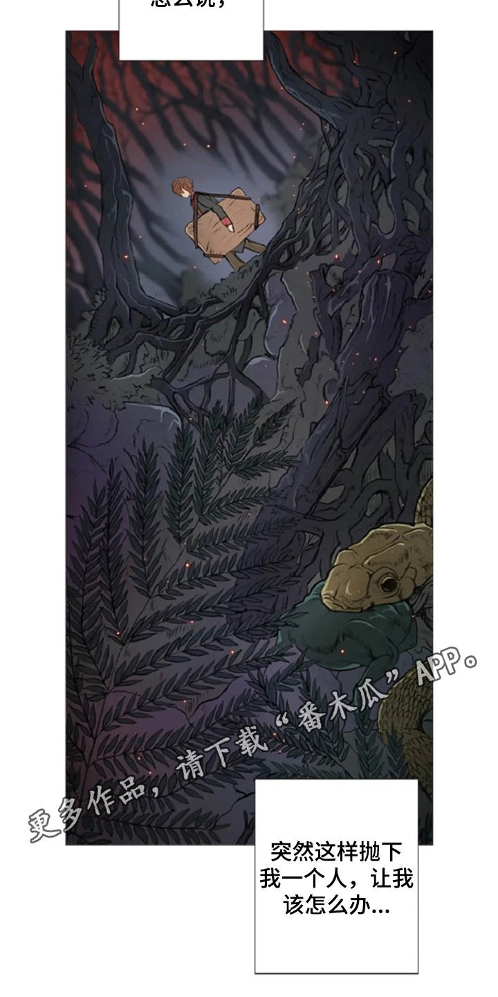 爱情的妖精鸟漫画,第14章：动乱5图