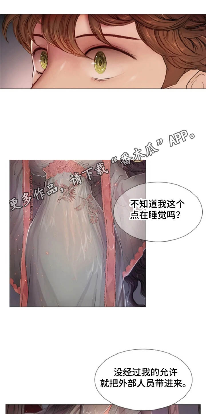 爱情的妖精鸟漫画,第9章：城堡5图