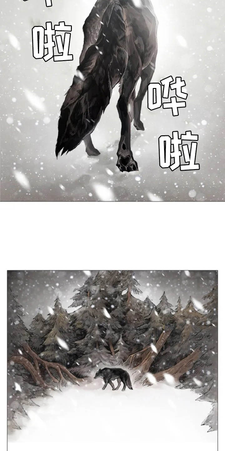 人与妖精的爱情电视剧漫画,第1章：狼少年2图