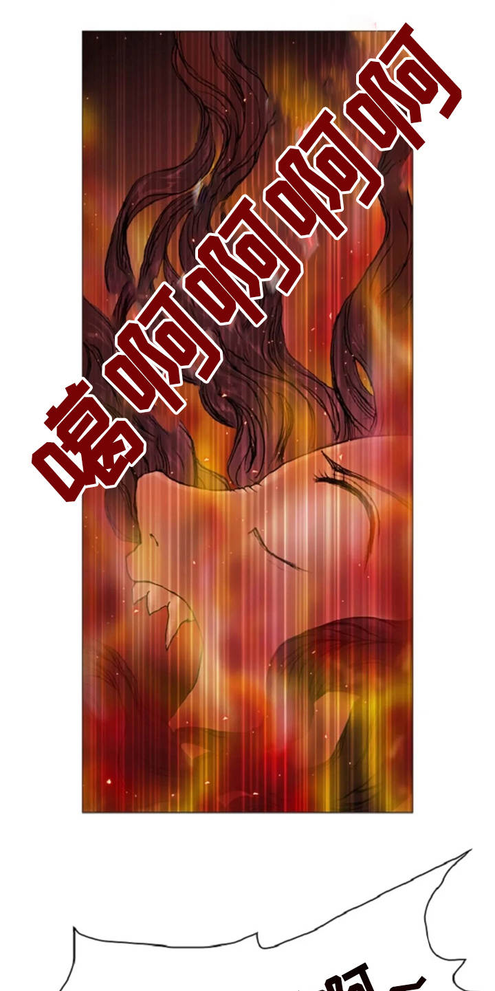 爱情的妖精鸟漫画,第16章：火刑5图