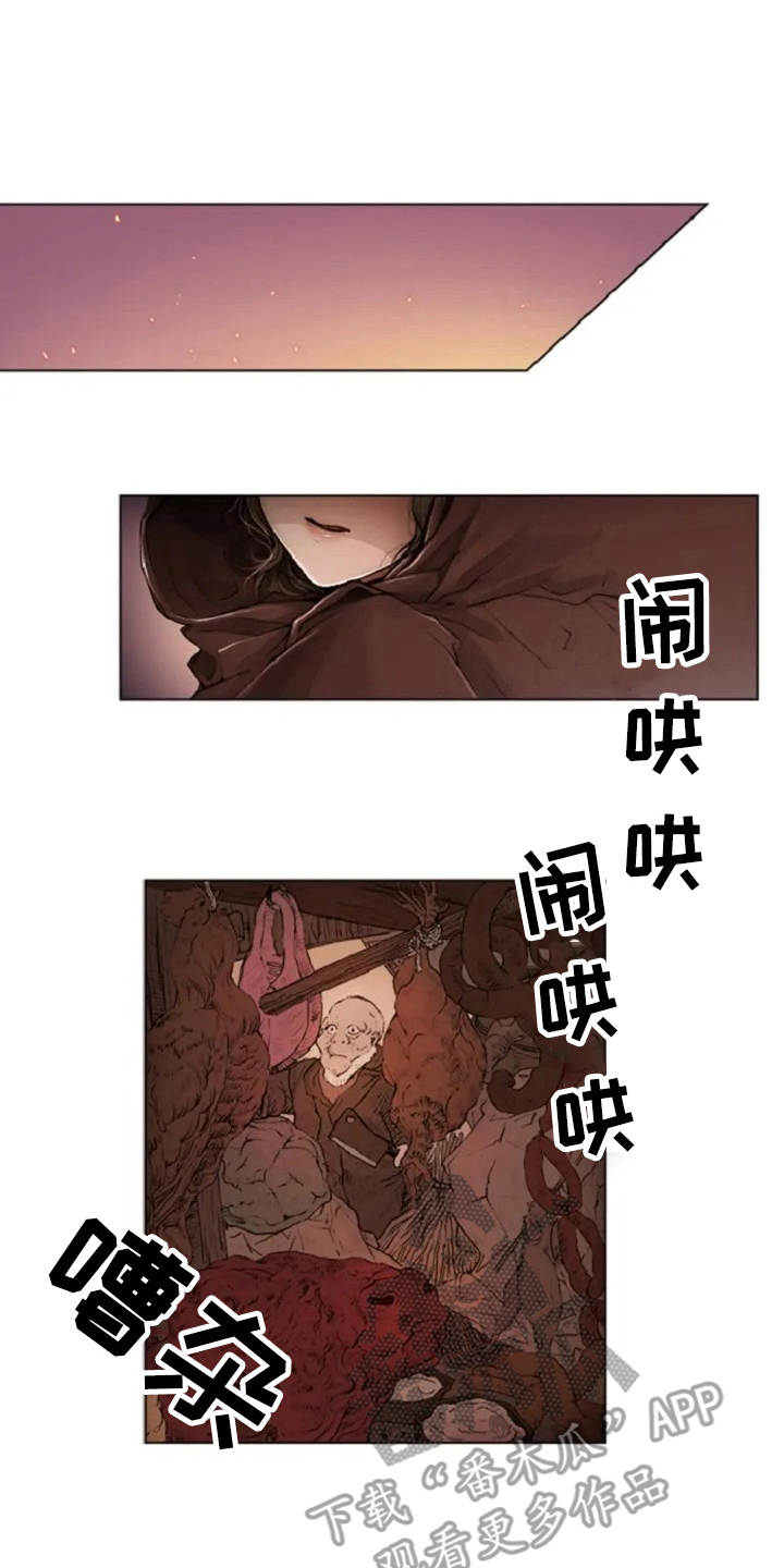 爱情的妖精鸟漫画,第5章：背叛1图