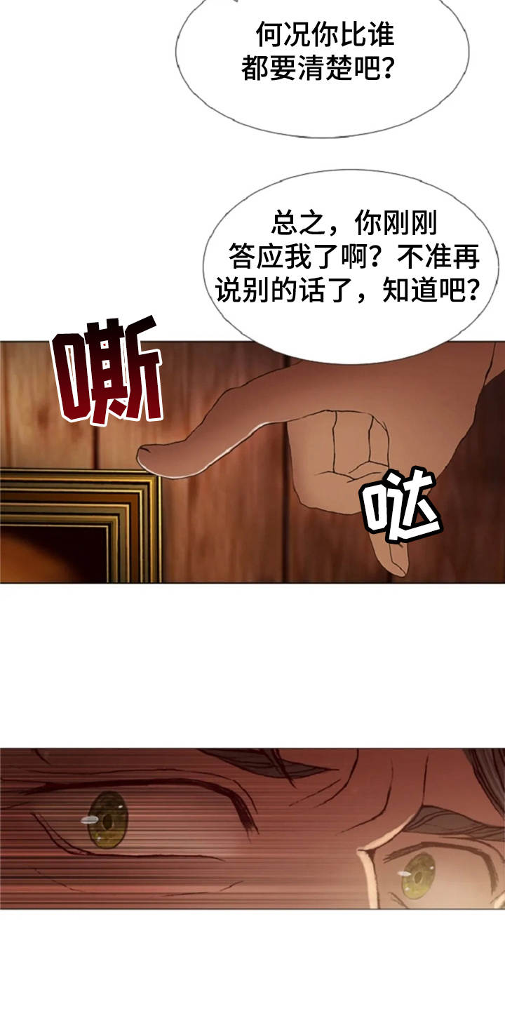 一只善良的妖精鸟漫画,第20章：任务繁重1图