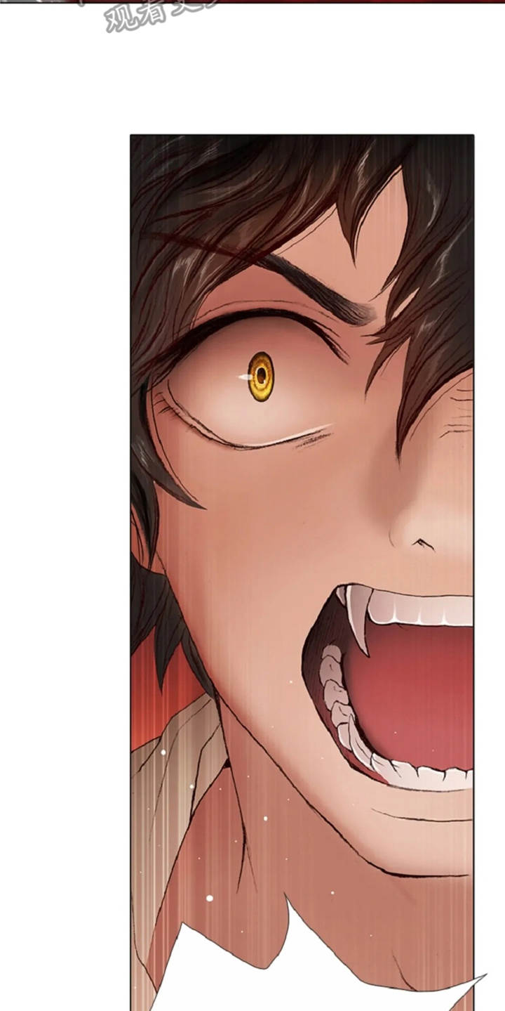 爱情的妖精鸟漫画,第25章：魔女的约定4图