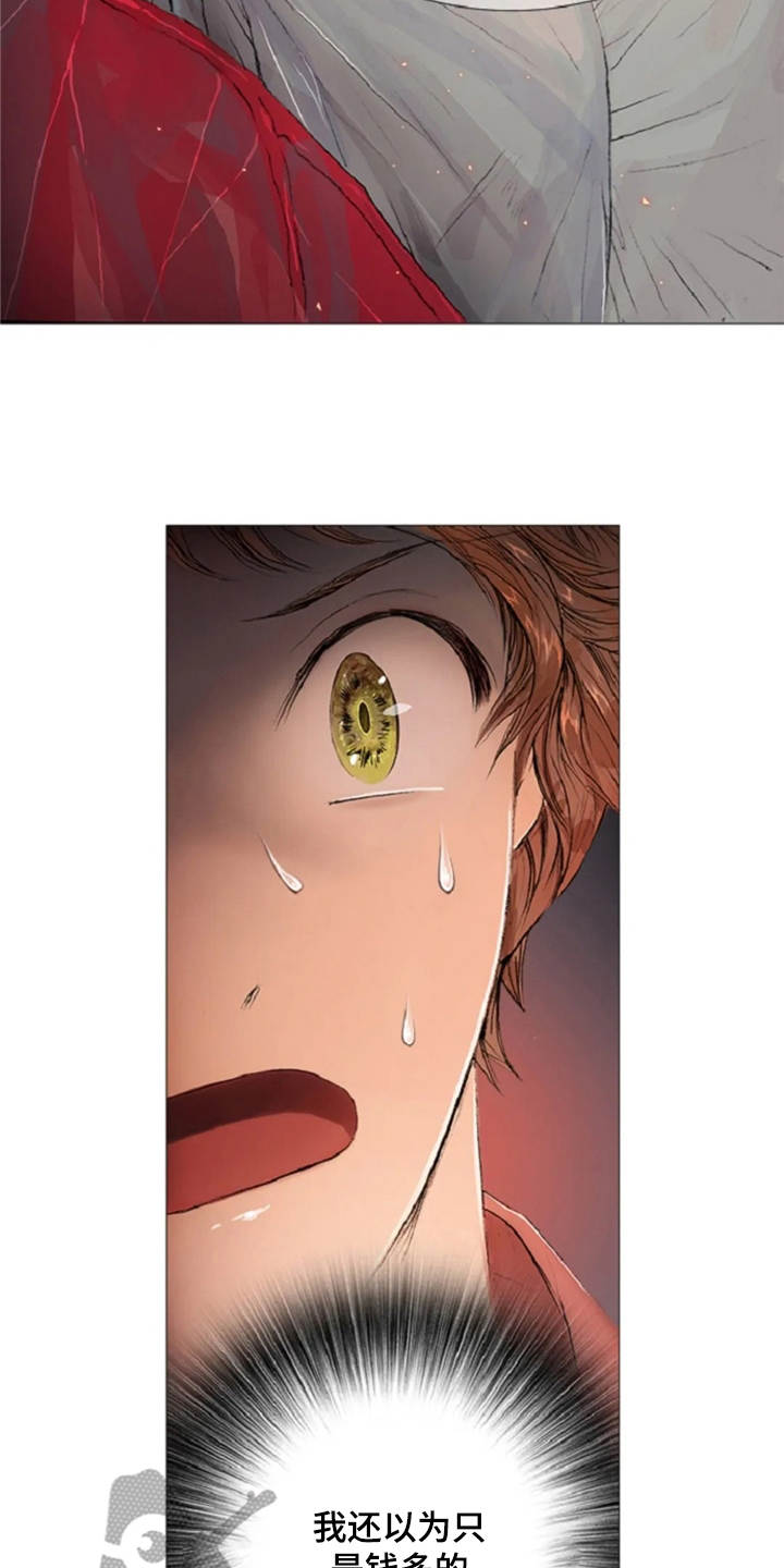 爱情的妖精鸟漫画,第9章：城堡1图