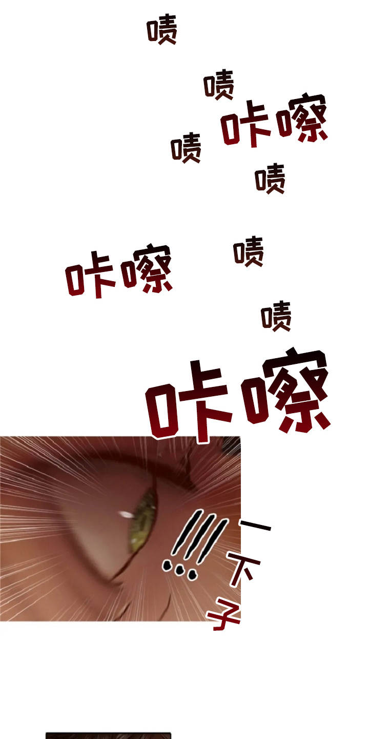 爱情的妖精鸟漫画,第21章：误解3图