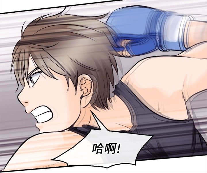 重返拳坛漫画,第15章：铁拳3图