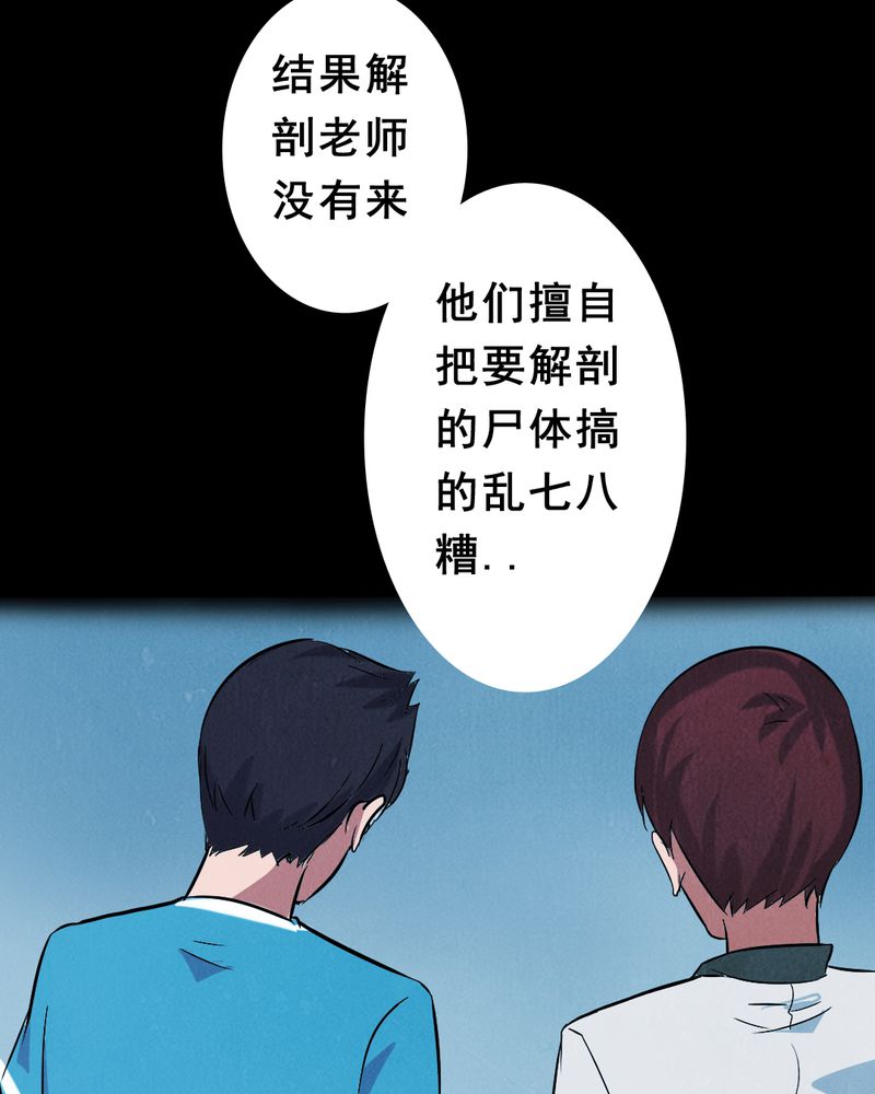 时间段格式漫画,第3章：解剖（三）5图