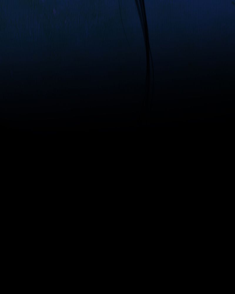 尸间线关系图漫画,第5章：自拍（二）5图