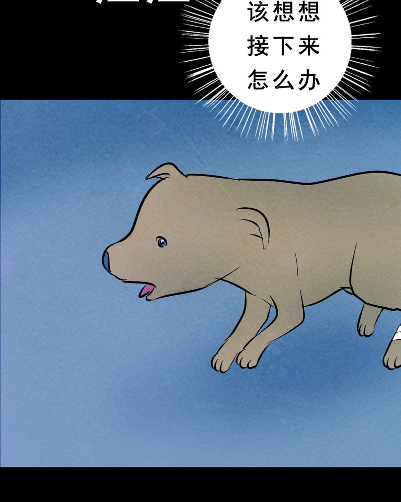 间断便血一年多了漫画,第27章：小笨（三）5图