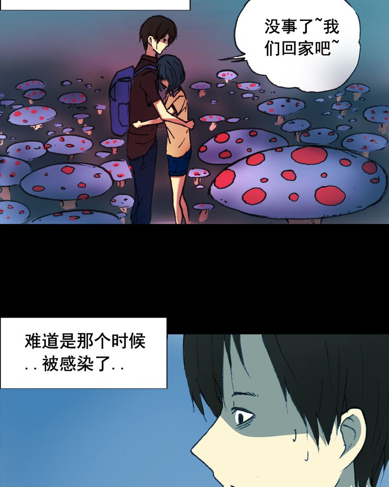 时间段内的数据求和漫画,第20章：蘑菇（一）4图