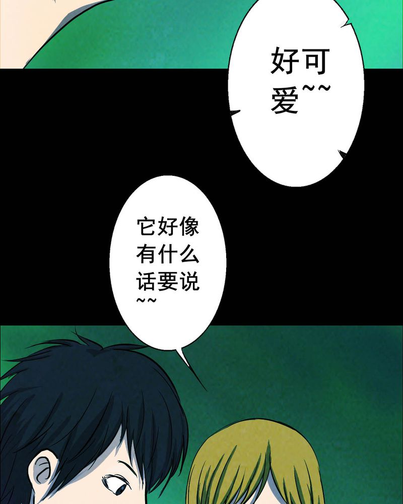 尸间断漫画,第50章：青蛙（一）1图