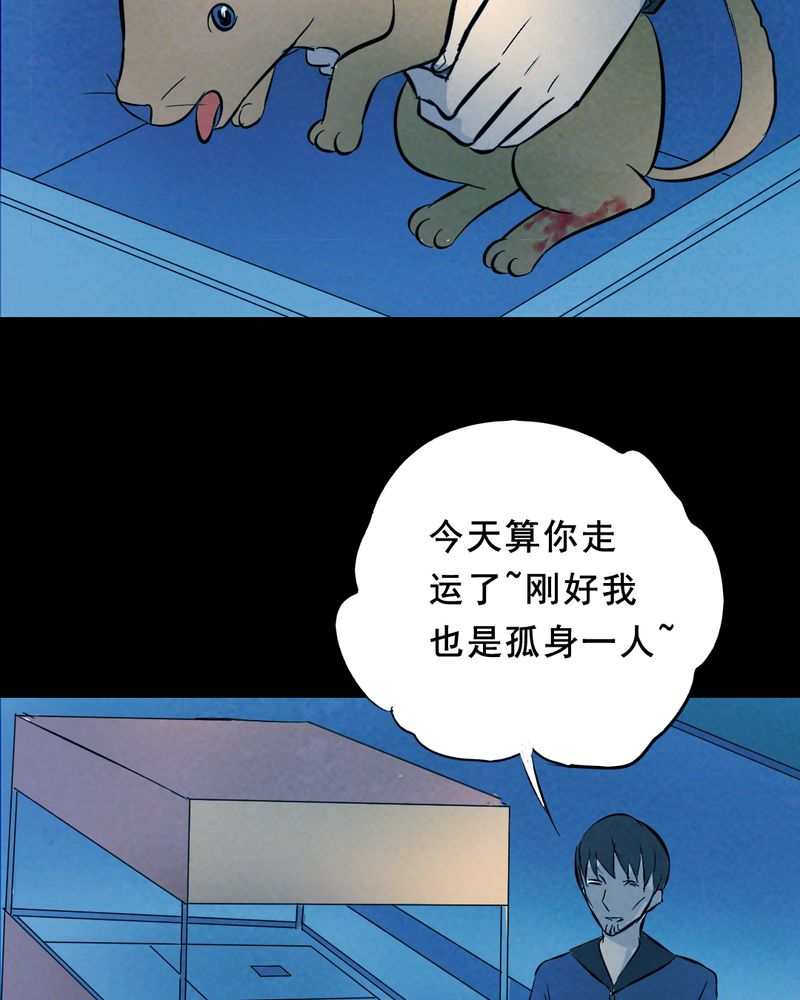 尸间断漫画,第25章：小笨（一）3图