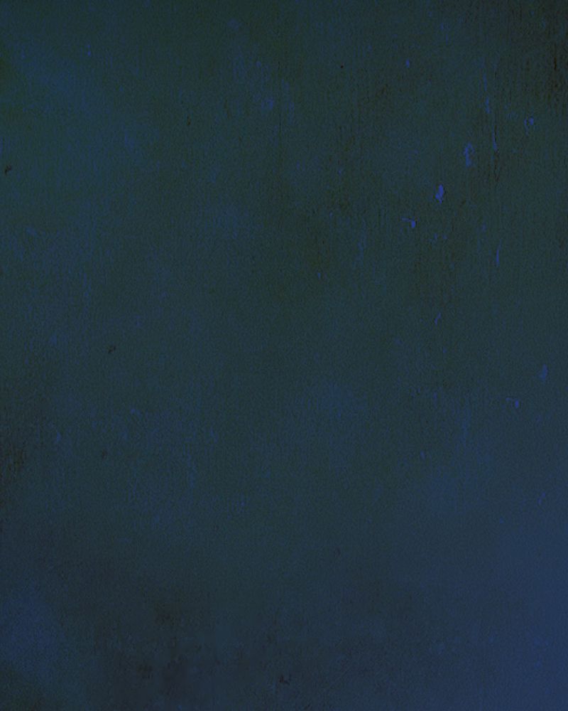 实践锻炼调研收获漫画,第4章：自拍（一）4图