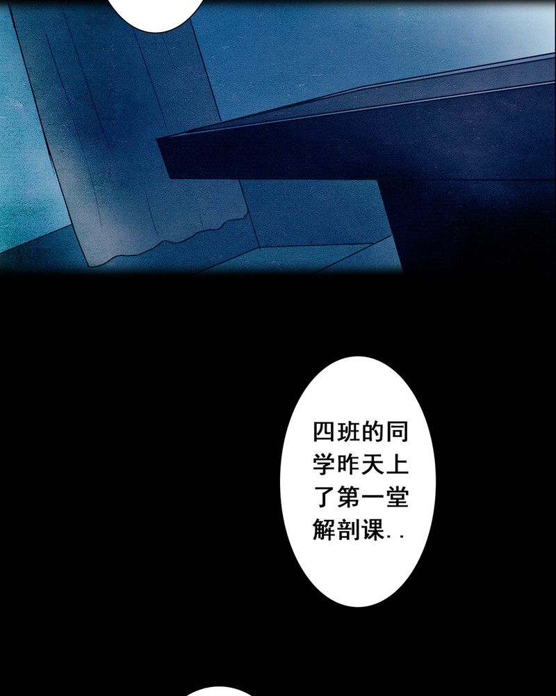 时间段格式漫画,第3章：解剖（三）4图