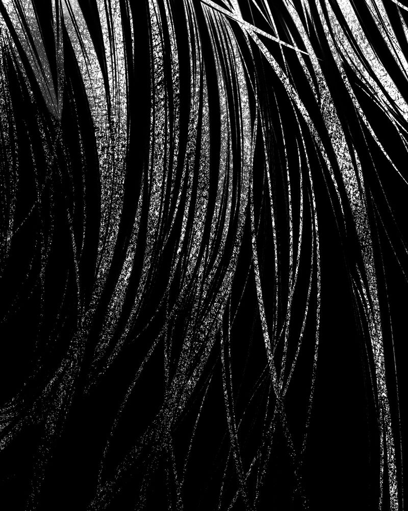 时间短的歌曲漫画,第35章：复仇（三）5图