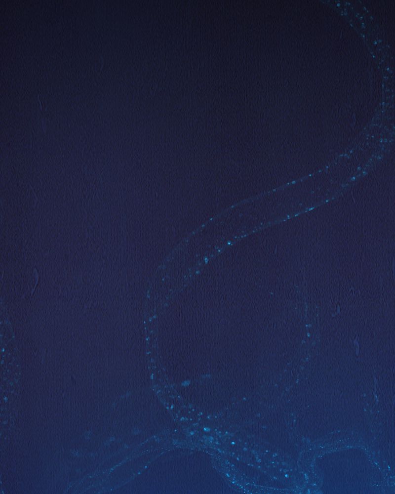 尸地余生漫画,第6章：中秋节特辑4图