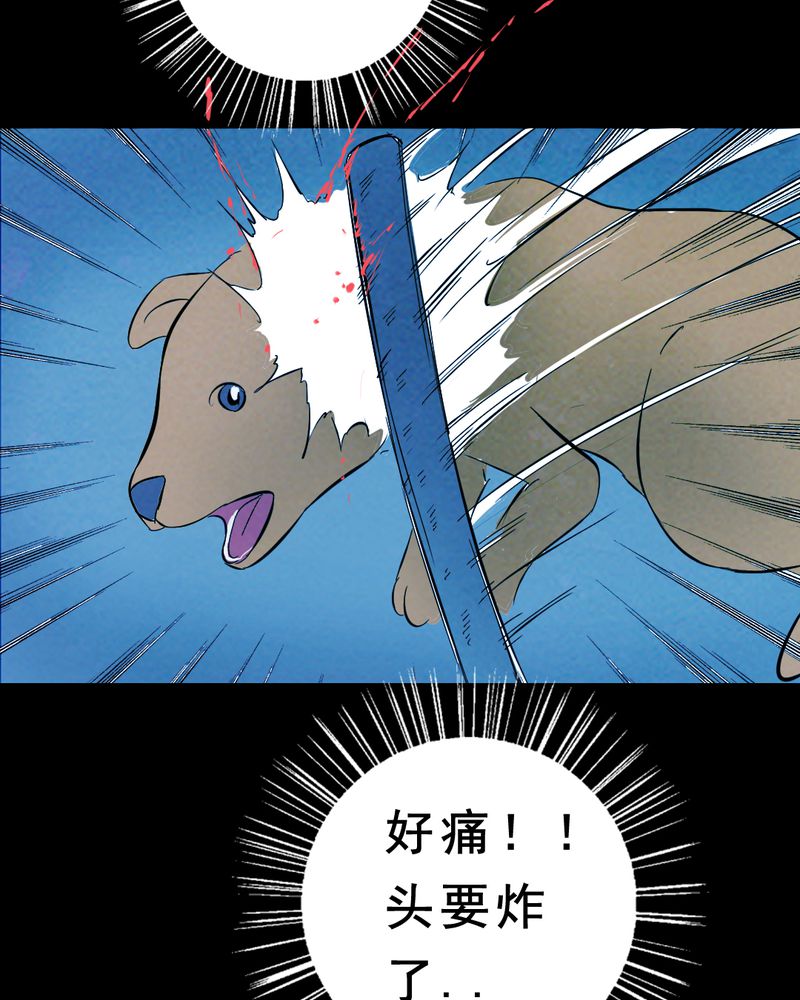 间断便血一年多了漫画,第27章：小笨（三）2图