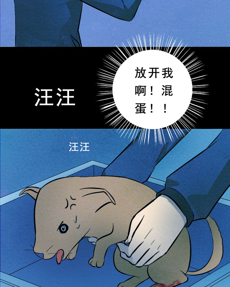 尸气逼人国语版漫画,第27章：小笨（三）1图