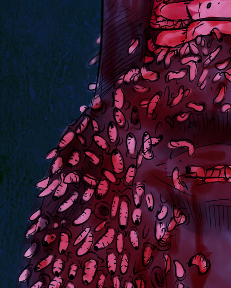 尸间线关系图漫画,第5章：自拍（二）3图